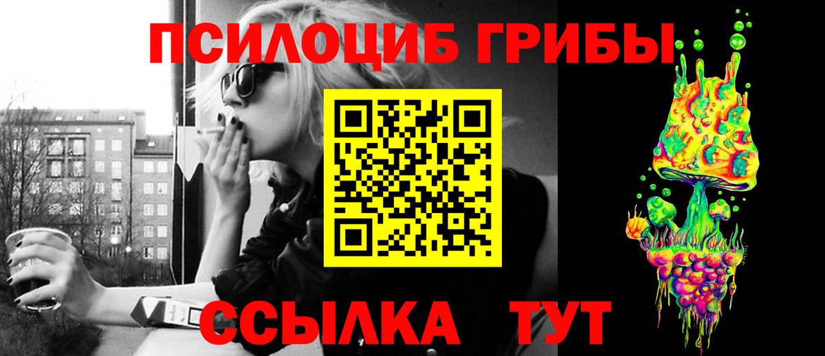 Галлюциногенные грибы прущие грибы  магазин    Котовск  Вход с VPN  Галлюциногенные грибы GOLDEN TEACHER 